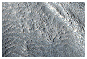 Flows on Mesa Wall in Protonilus Mensae