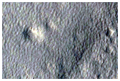 Crater Modification on the Northern Plains