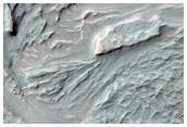 Fan of Overlapping Curvilinear Ridges in Saheki Crater