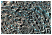 Lobate Debris Apron