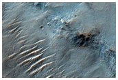 Possible Phyllosilicates Exposed in Tyrrhena Terra Dissected Terrain