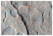 Scalloped Depressions in Utopia Planitia