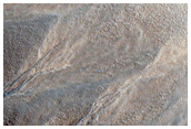 Gullies in North Mid-Latitude Crater
