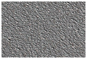 North Polar Residual Cap Monitoring