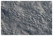 Northern Plains