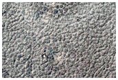 Crater Buried by Platy Lava in Cerberus Palus