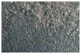 Domes in Arcadia Planitia