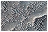Cratered Terrain