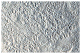 Scallop and Mounds