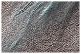 Gully Monitoring