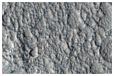 Craters in Arcadia Planitia