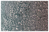 Inter-Annual Monitoring of North Polar Residual Cap and Top of Trough