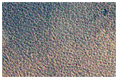 Icy Impact Monitoring