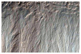 Volatiles and Gullies