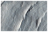 Layers in Crater in Protonilus Mensae