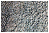Gully Monitoring