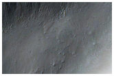 Monitor Gullies in Ariadnes Colles
