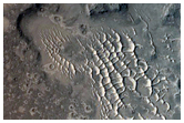Well-Preserved Impact Crater in Western Elysium Planitia