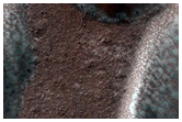 Monitor Frost on Dunes in Viking Images 573B30 and 573B32