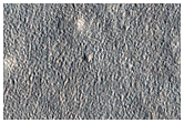 Monitoring New Impact Site
