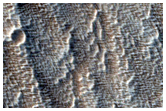 Edge of Arsia Mons Aureole
