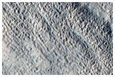 Flow Boundary in Elysium Planitia
