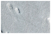 Distributaries Near Terminus of Long Sinuous Ridge
