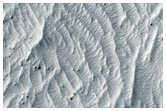Terrain in Southern Elysium Planitia
