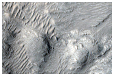 Terrain in Western Elysium Planitia
