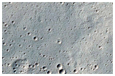 Secondaries from 6-Kilometer Rayed Crater to the East
