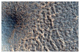 Terrain in Northern Plains
