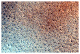 Northern Plains Terrain
