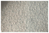 Dunes on Cement Substrate in Summer
