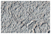 Sample of the Floor of Echus Chasma
