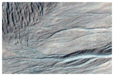 Gully Monitoring
