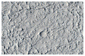 Elysium Planitia Platy Ridged Lava Channels
