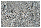 Vents and Flows in Bernard Crater
