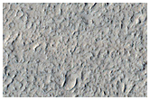 Lava Channel Margin in Amazonis Planitia
