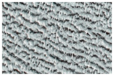 Monitoring Evolution of North Polar Residual Cap
