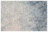 Northern Plains Terrain
