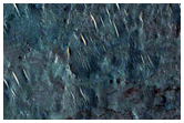 High Thermal Inertia Materials off the Central Peak of Hargraves Crater
