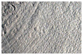 Gullies
