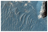 Light and Dark Toned Rocks in Meridiani Planum
