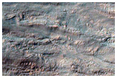 Gully Monitoring in Palikir Crater
