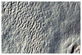 Cryokarstic Surface Patterns in Reull Vallis Region
