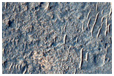 Layered Flow Ejecta
