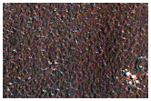 Middle Latitude Terrain
