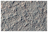 Rocky Ground

