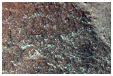 Gullies in Argyre Planitia
