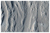 Streamlined Features in Olympica Fossae
